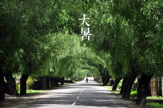 大暑丨葡園消煩暑，夢(mèng)涼天地寬