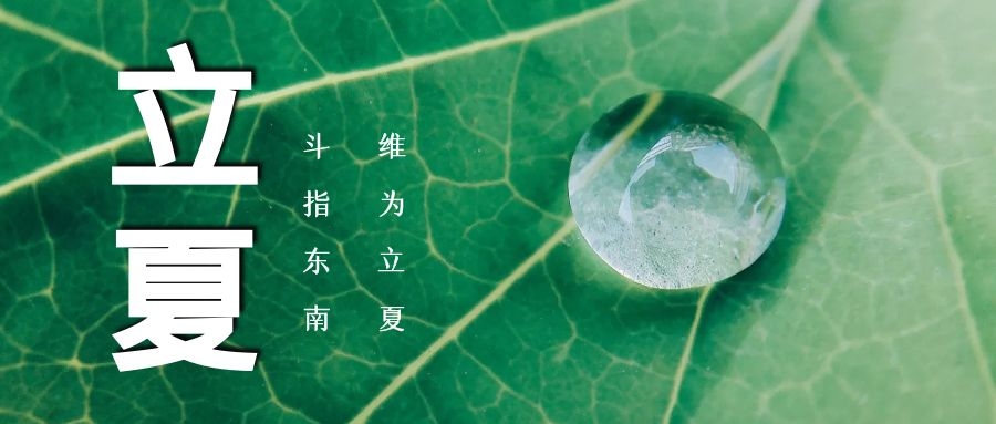 立夏 ▏綠蔭濃，夏日長