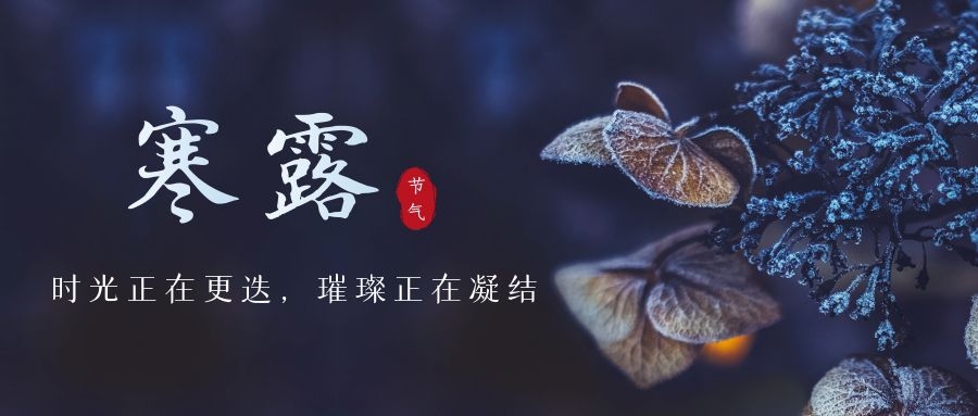 寒露 ▎時(shí)光更迭，璀璨正在凝結(jié)~