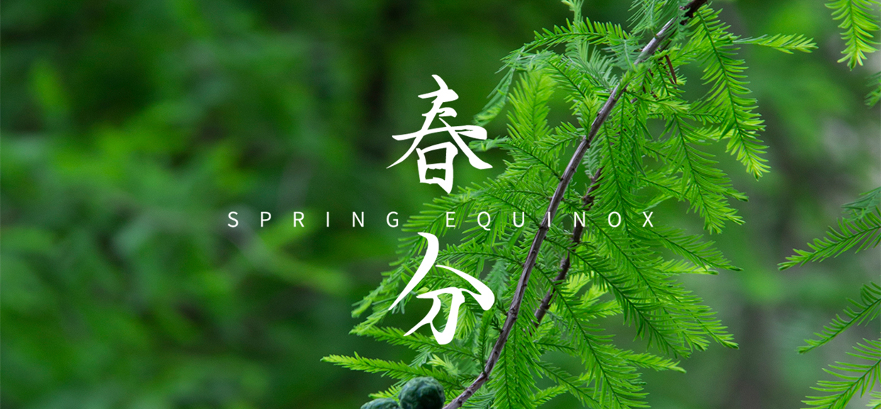 春分 ▎不負(fù)春光，萬物生長
