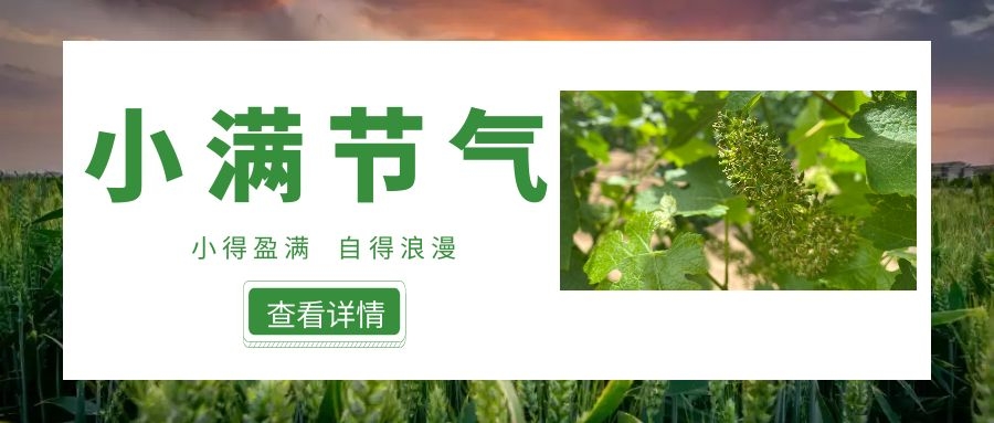 小滿 ▎小得盈滿，自得浪漫~