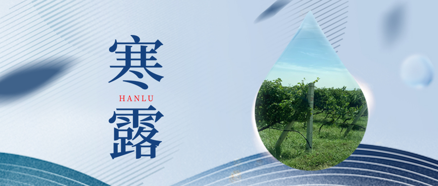 寒露丨夜露凝寒，萬(wàn)物皆秋