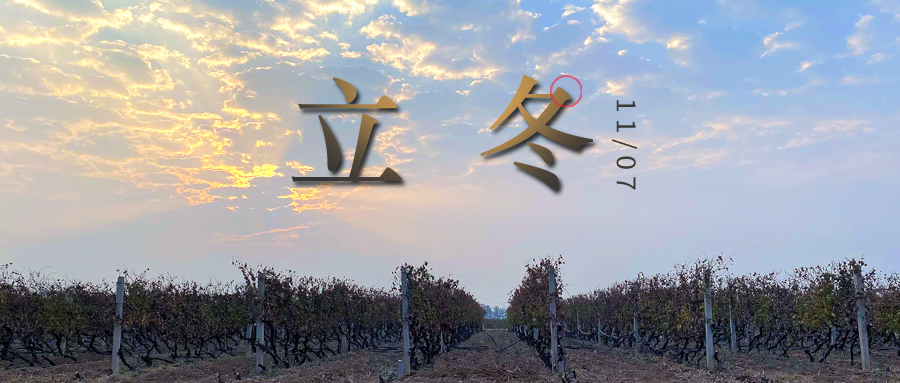 立冬 ▎四時(shí)有序，天地歸藏